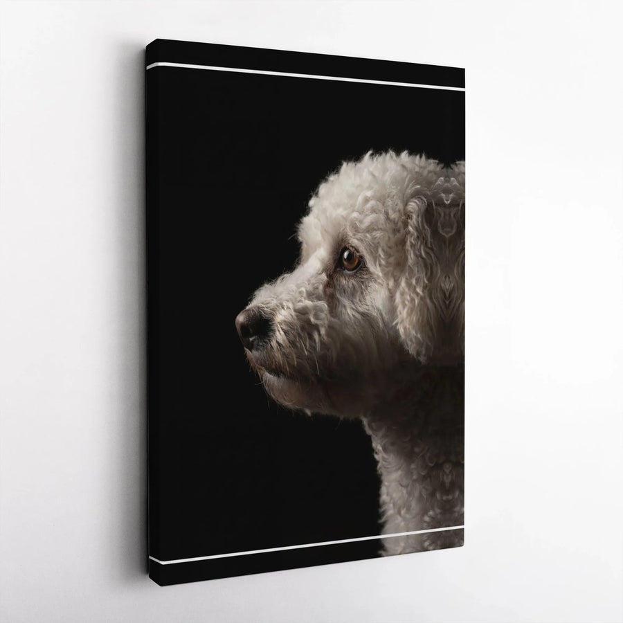 Poodle Portrait Canvas Wall Art | Dramatic Dog Photography Print | Premium Gallery Wrapped Canvas | Unique Gift for Pet Lover