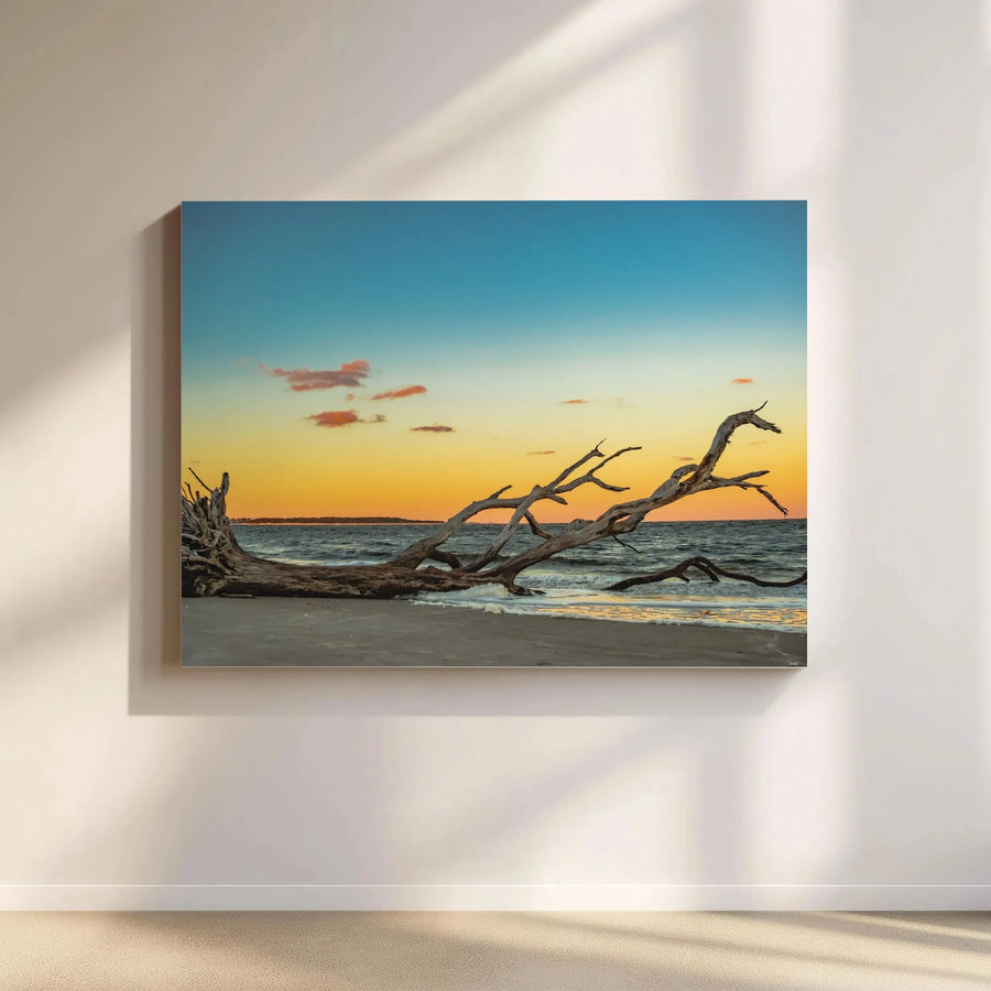 Coastal Sunset Beach Driftwood Horizontal Canvas | Big Talbot Island Landscape Wall Art | Premium 1.25" Gallery Wrap Print | Modern Living Room Decor Gift
