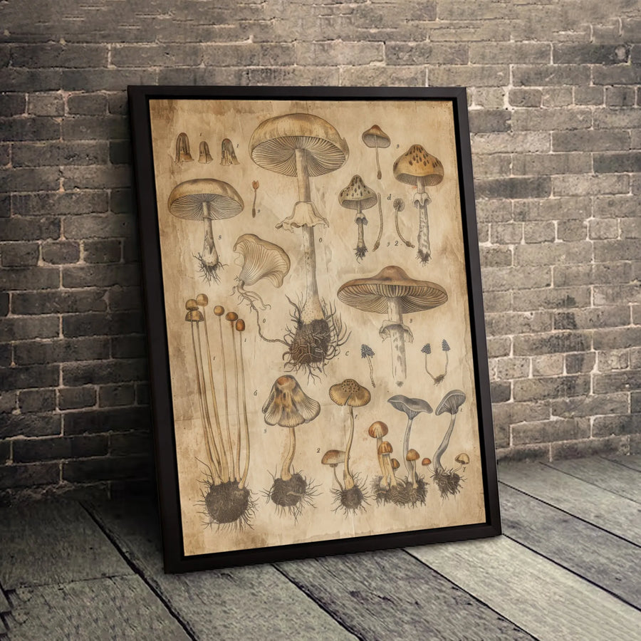 Vintage Mushroom Chart Wall Art | Botanical Scientific Illustration Print | Premium 1.25" Gallery Wrapped Canvas | Cottagecore Home Decor Gift